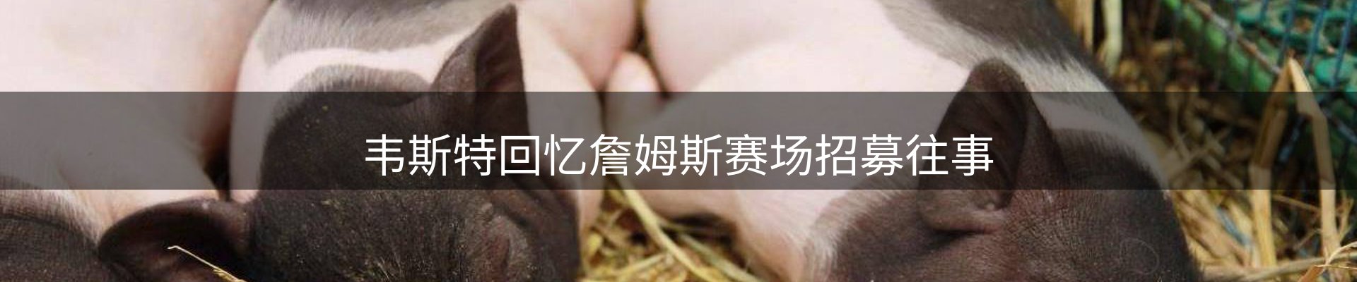 公司热点